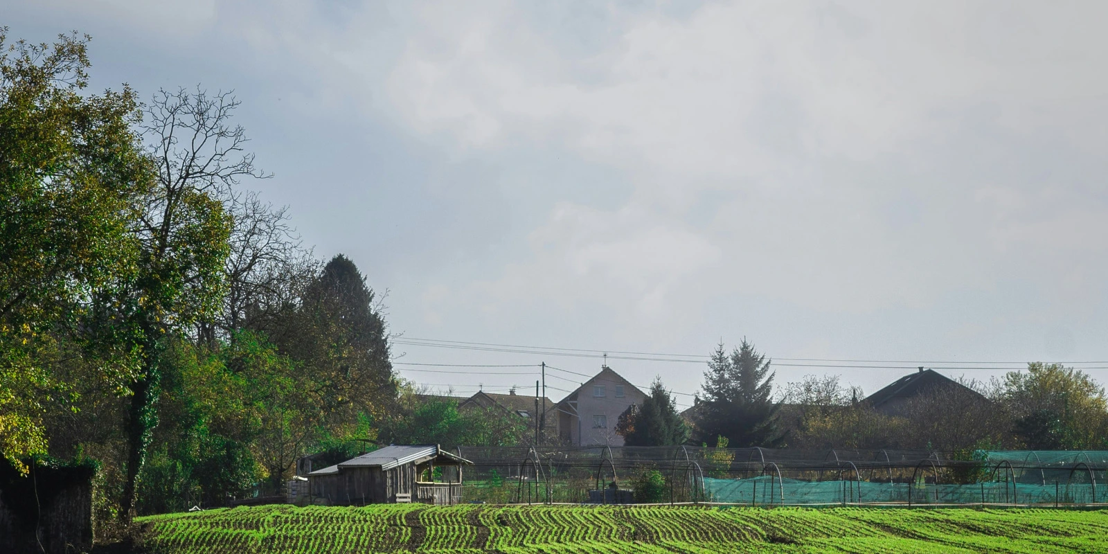 Combien d'Heures de Cours par Semaine en Licence AEI ?