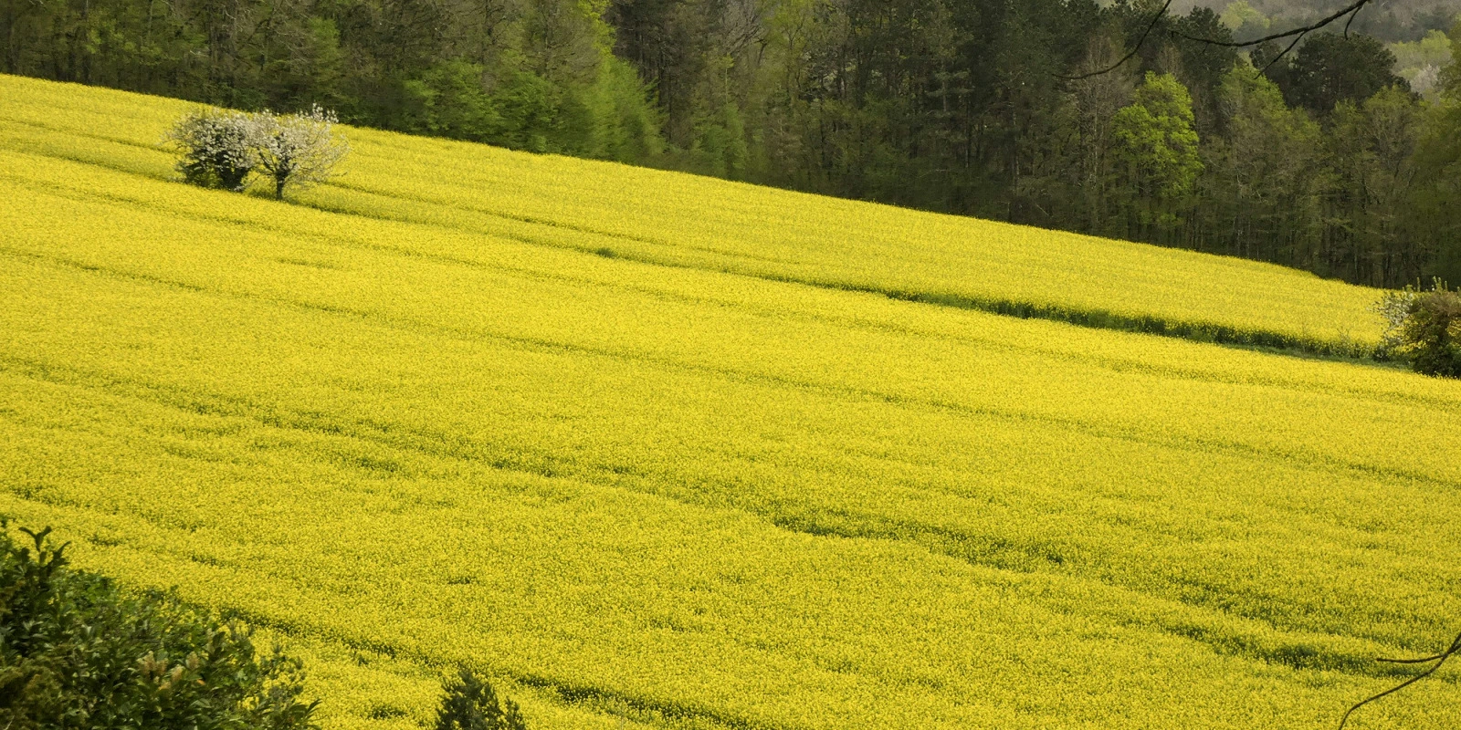 Commerce Extérieur : Mécanismes et Réglementations