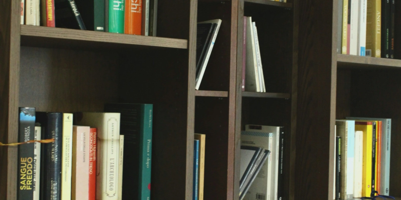 Étudier la Licence AEI à Distance : Avantages et Inconvénients