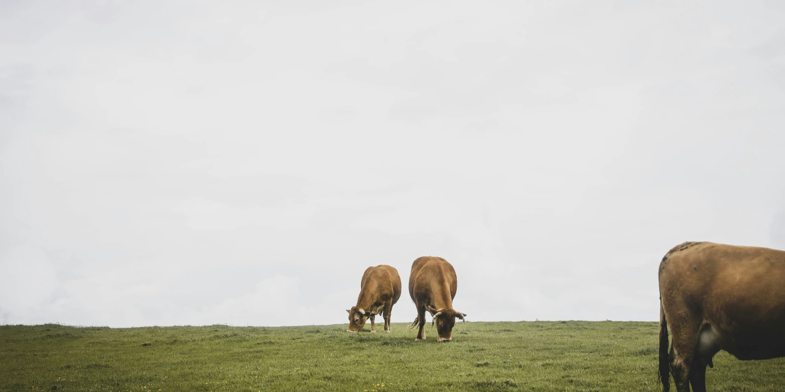 Géopolitique et Relations Internationales : Conflits et Coopération