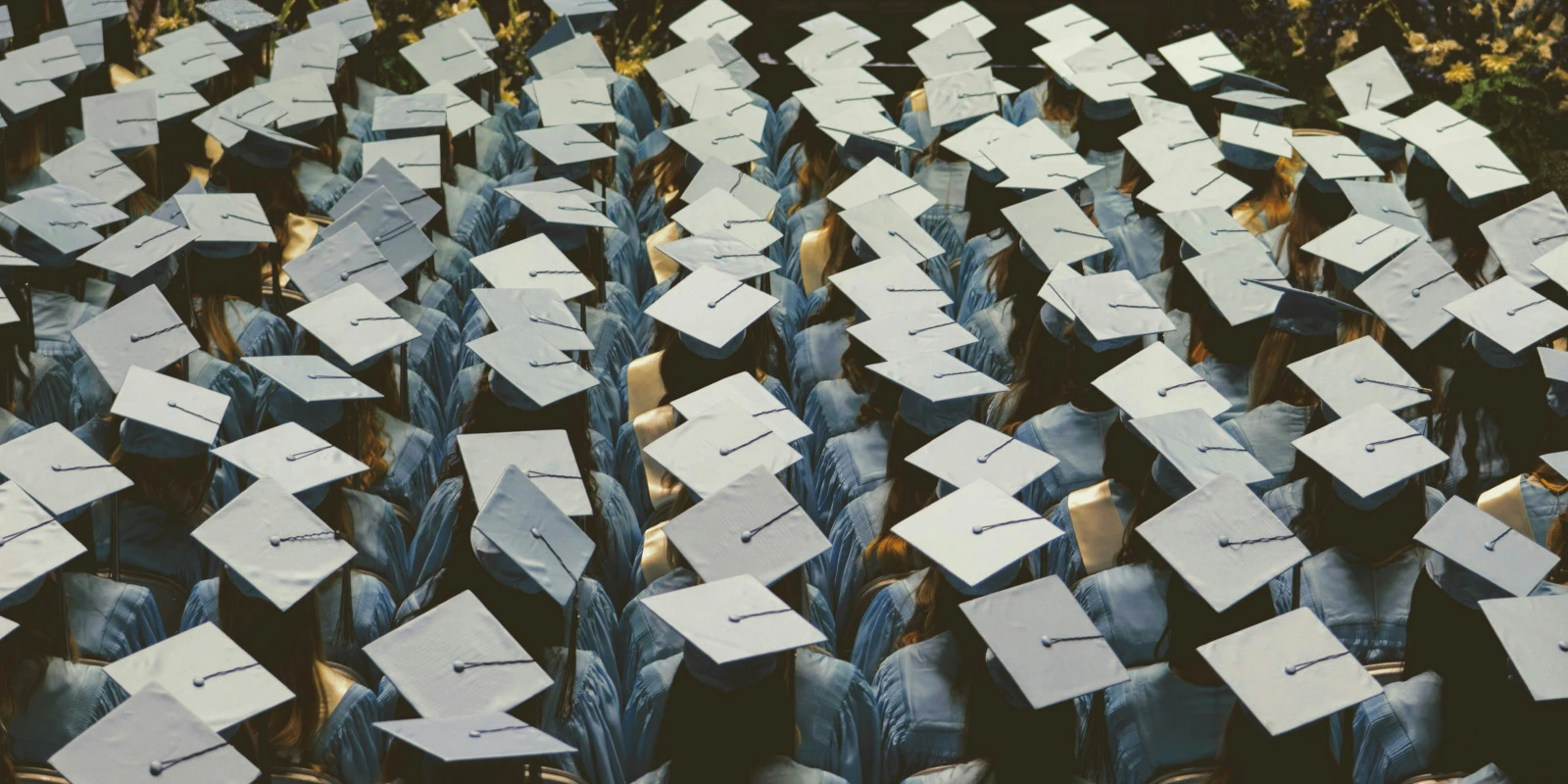 Licence AEI à l'UPEC : Débouchés et Opportunités de Carrière Licence AEI à l'UPEC : Débouchés et Opportunités de Carrière
