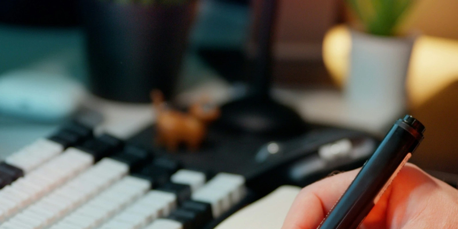 Licence AEI (Administration et Échanges Internationaux) : Programme et Contenu des Cours