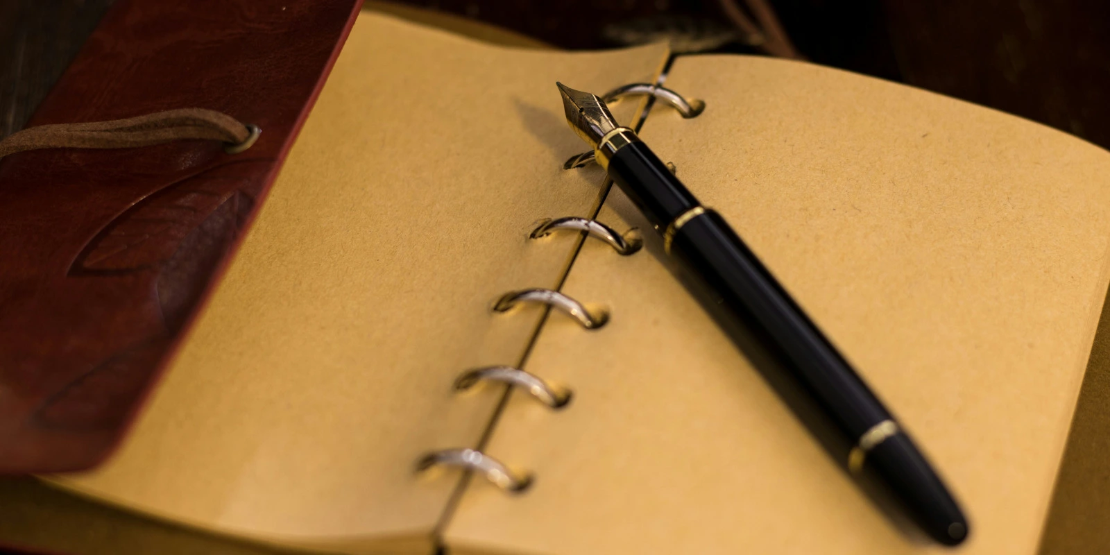 Programme Licence AEI : Année par Année